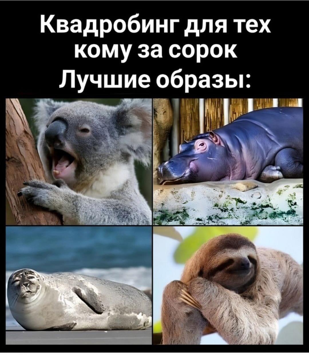IMG_8237.jpeg