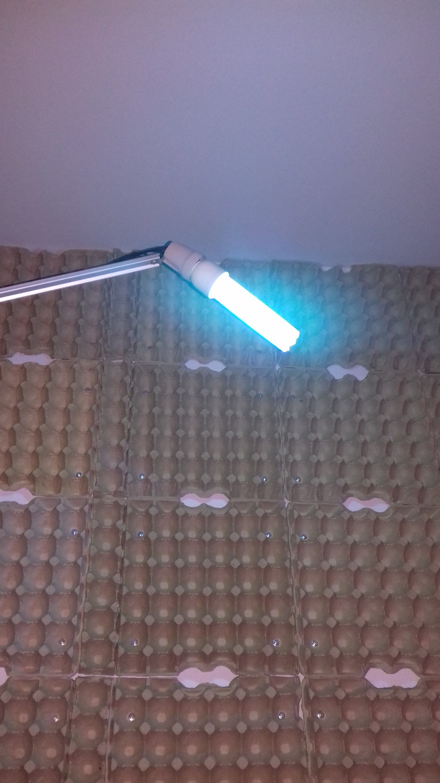 20250521_212608.jpg