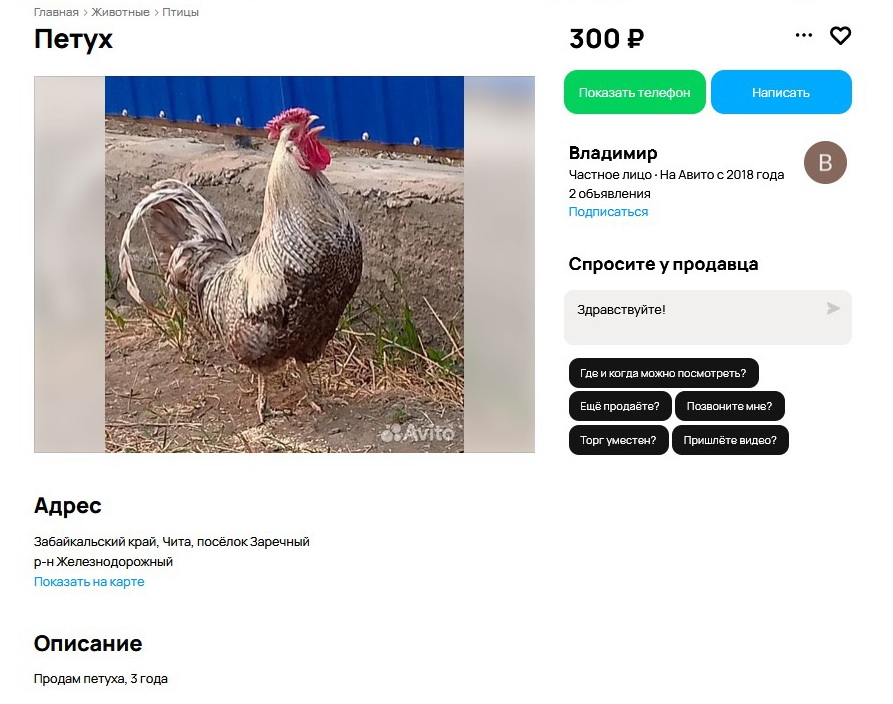 Рисунок21.jpg
