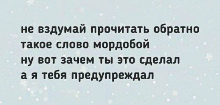 мордобой.jpg