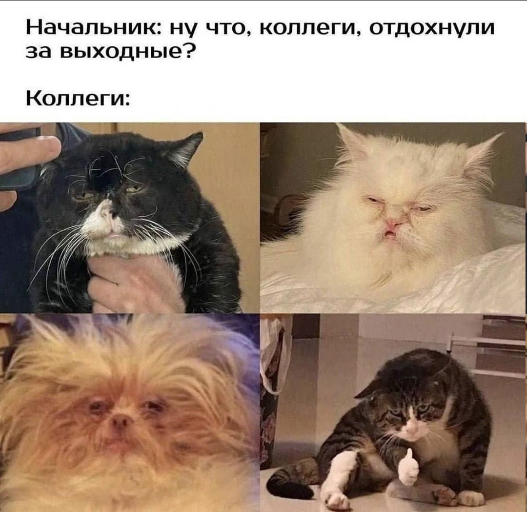 1749483399038.png