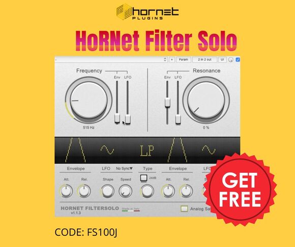 HoRNet Filter Solo.jpeg