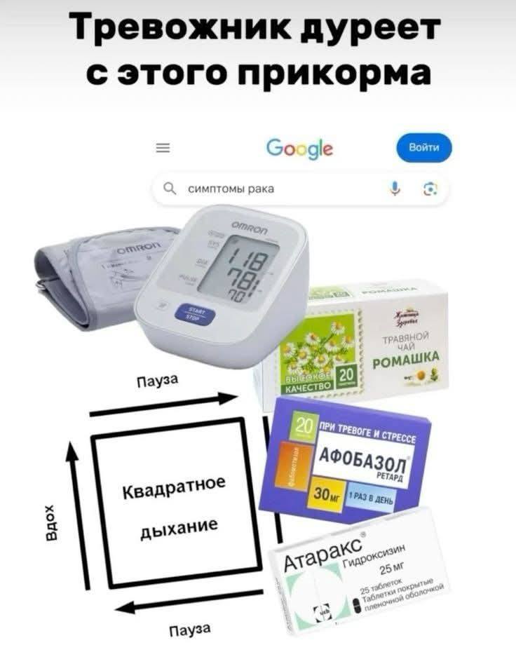 518355857_10239681513361761_4443639454569944091_n.jpg