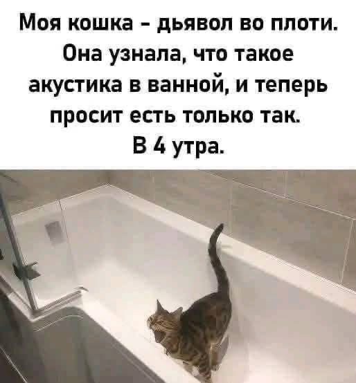 IMG_9129.jpeg