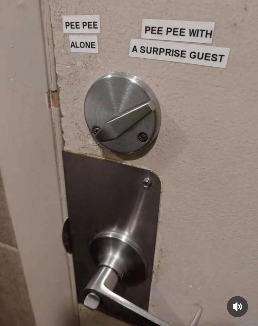1000011053.jpg