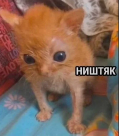 1754714976541.png