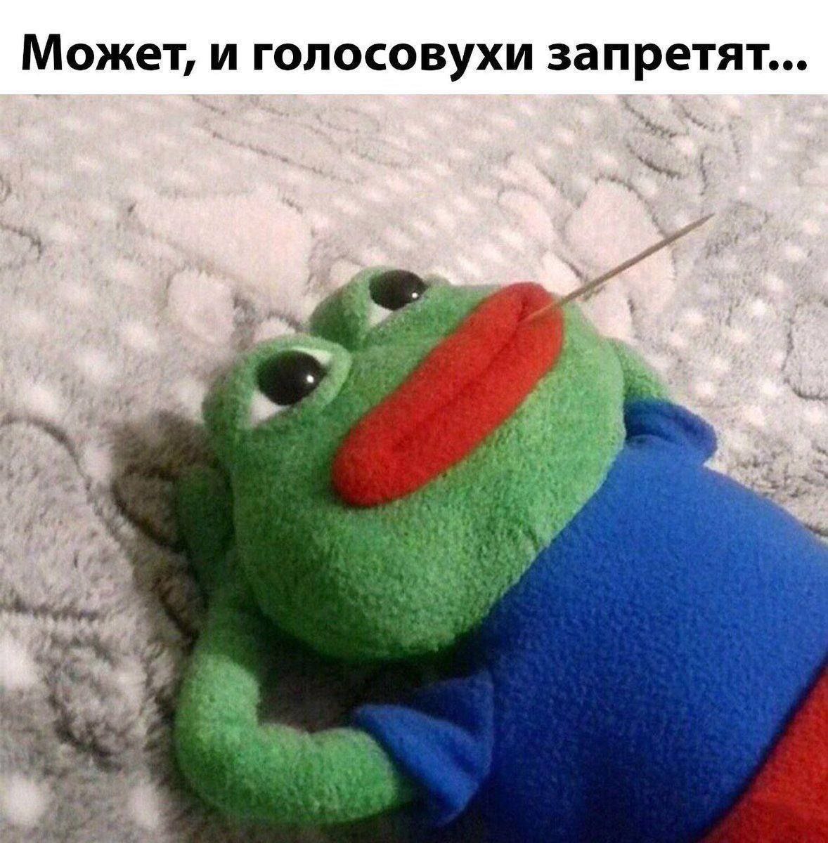 IMG_5443.jpeg