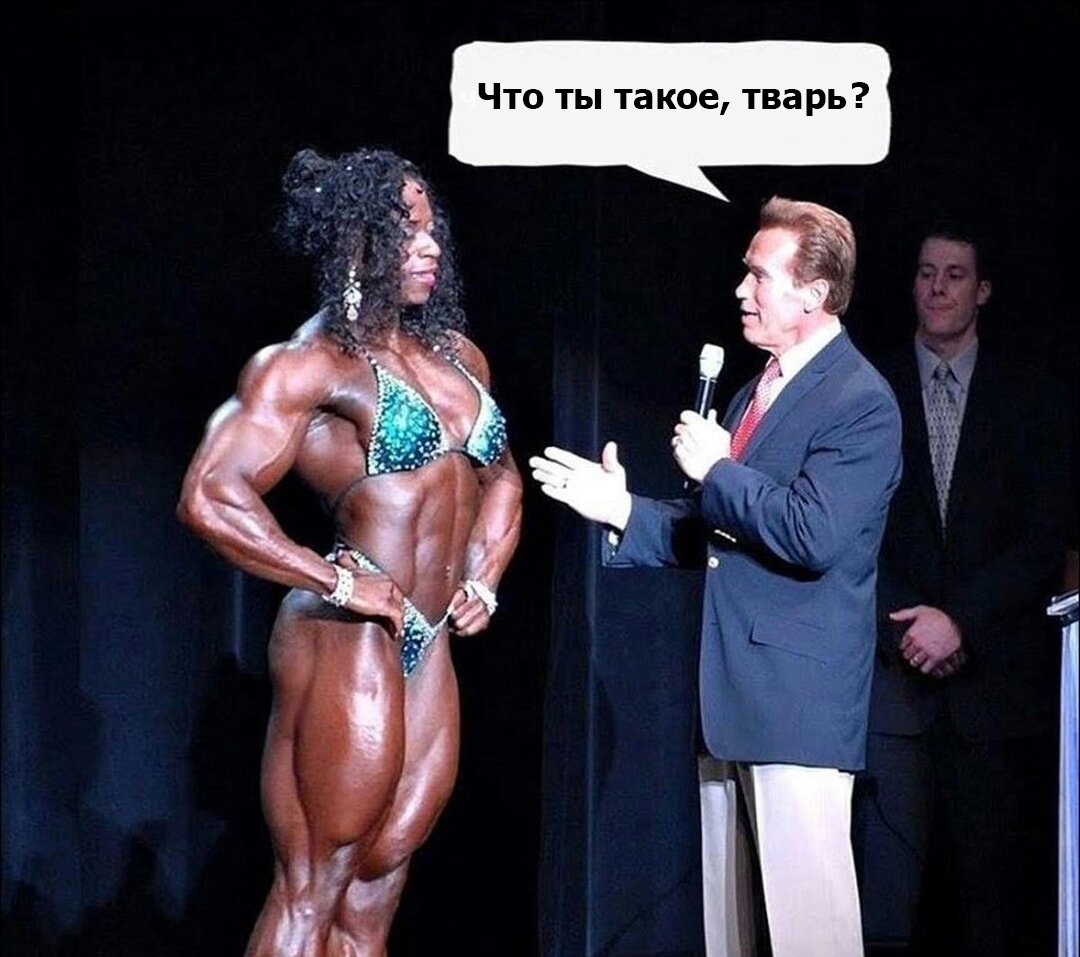 Шварц.jpg