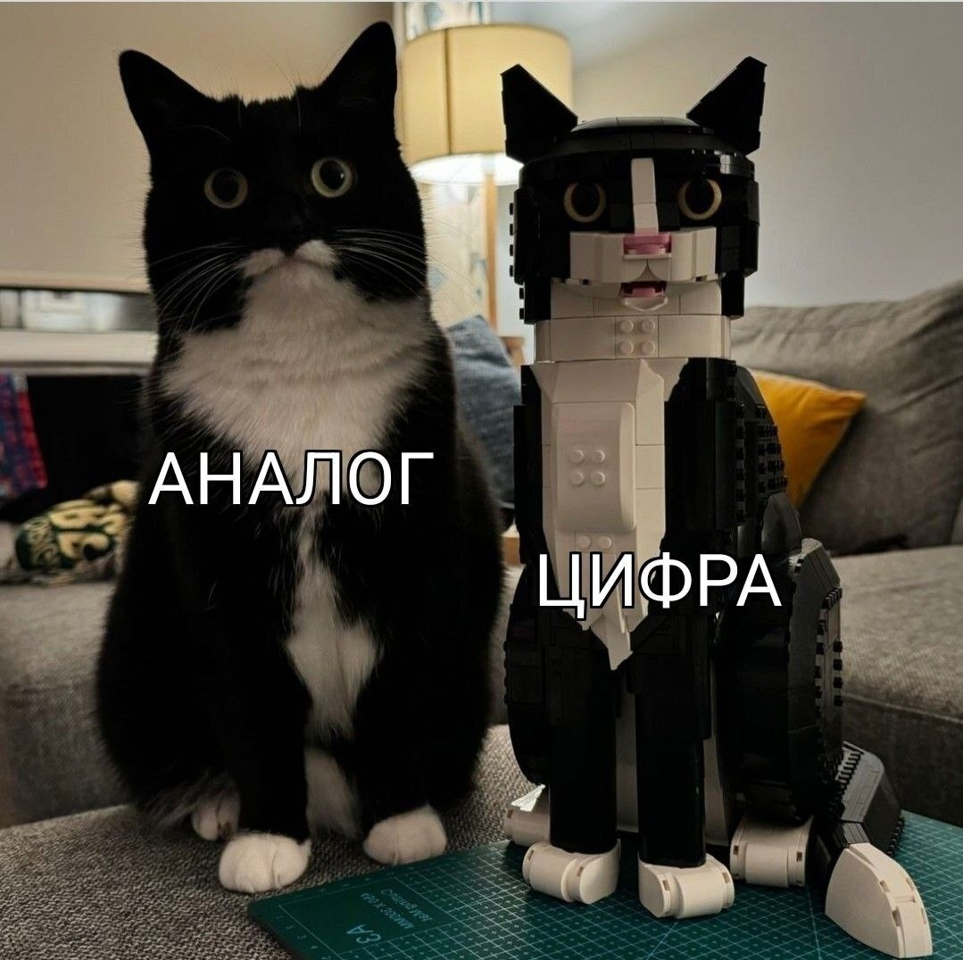 1755758436777.png