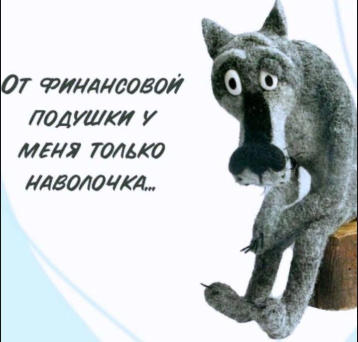 navolochka.jpg