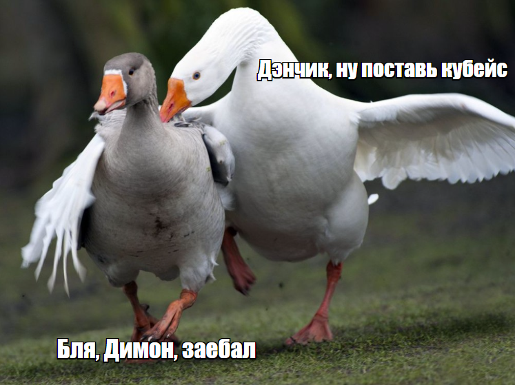 1759937696247.png