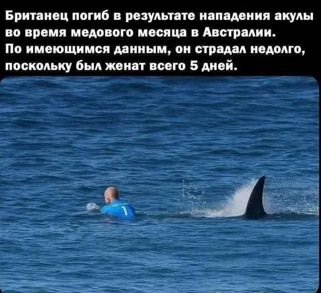 1379.jpg