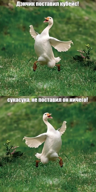image (1).jpg