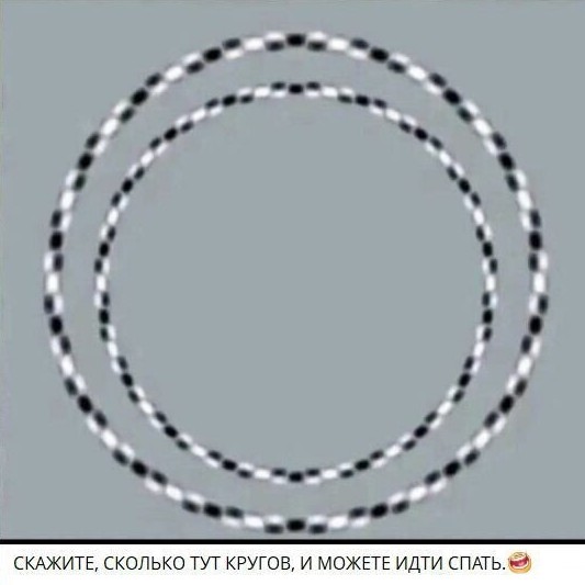 сколько кругов.jpg