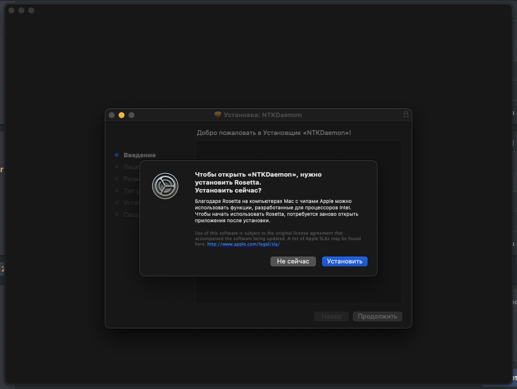 Снимок экрана 2026-01-31 в 19.42.15.png