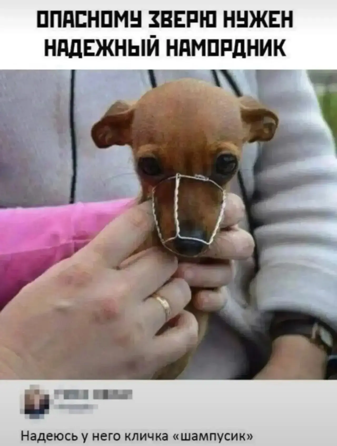 1784101281309.png