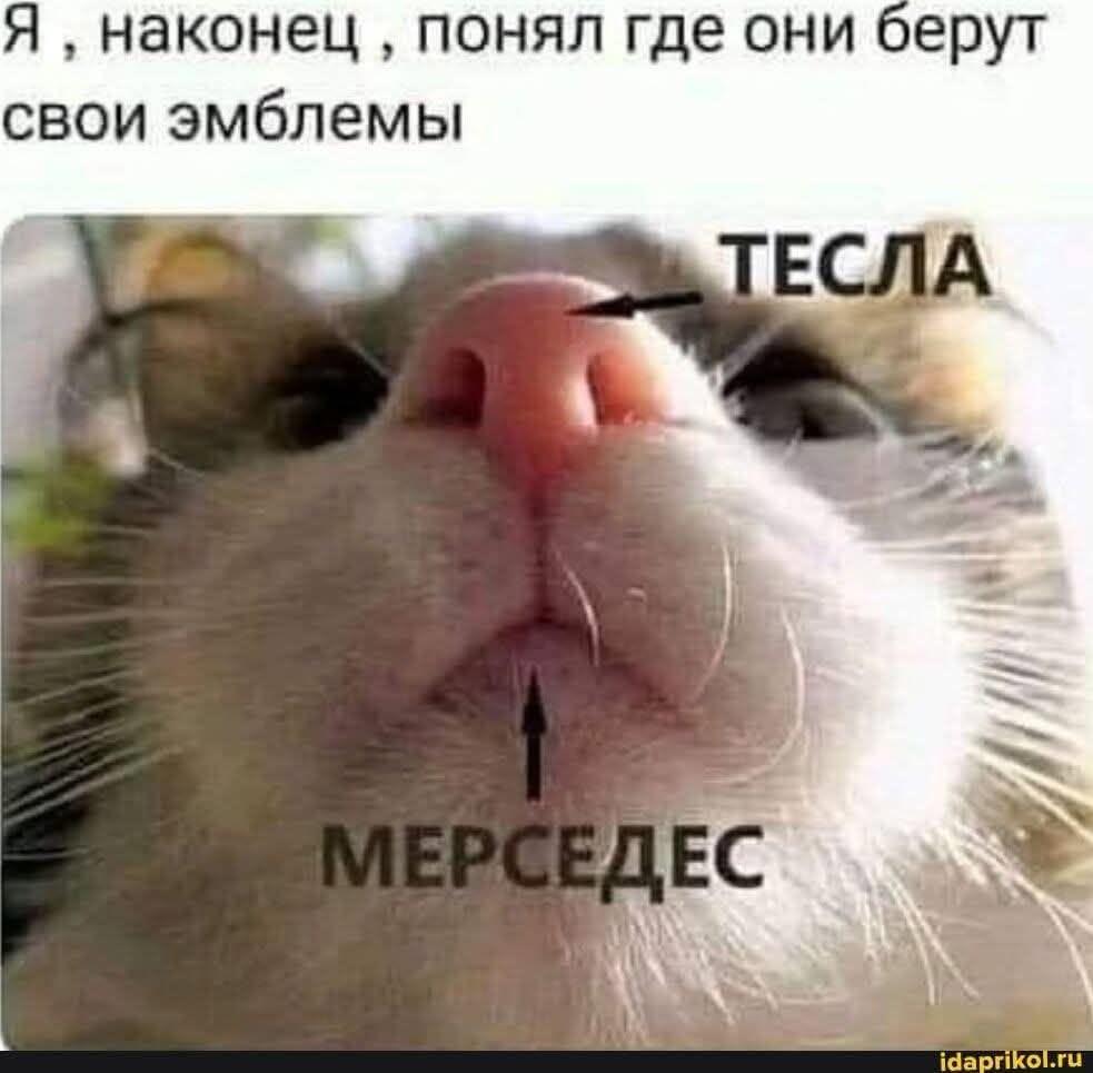 1784548934639.jpeg