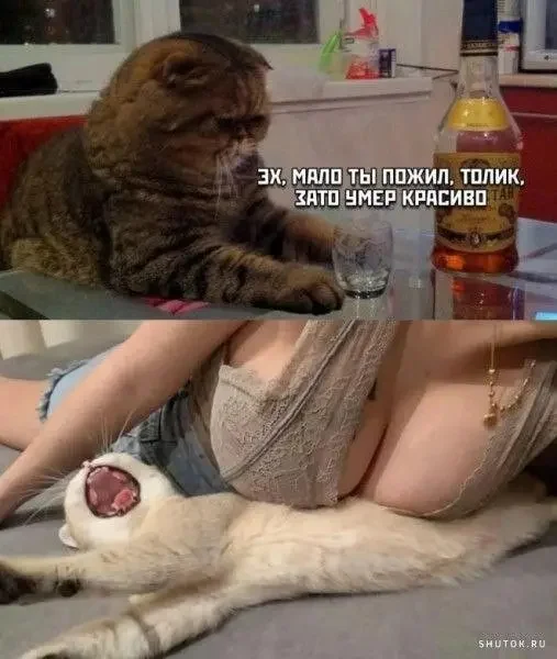 qi7hvr3n.webp