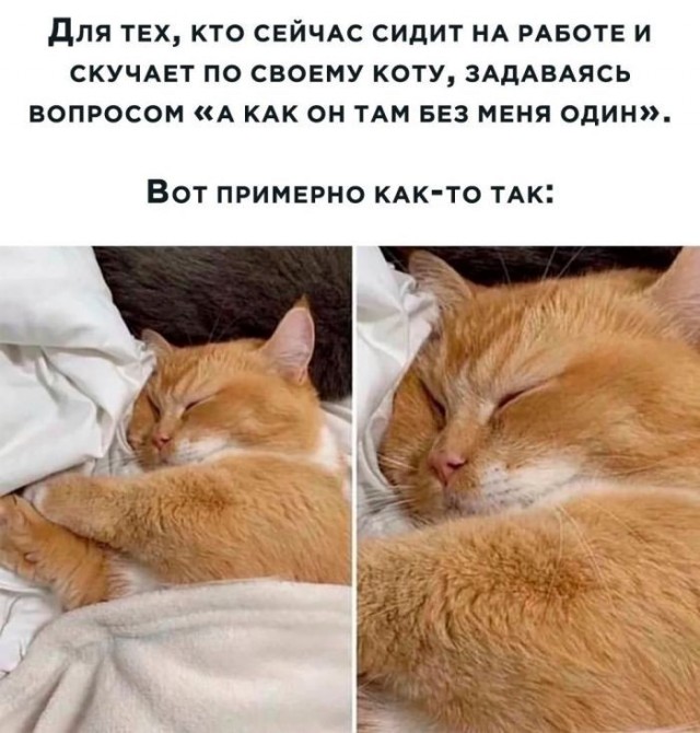 21284568.jpg