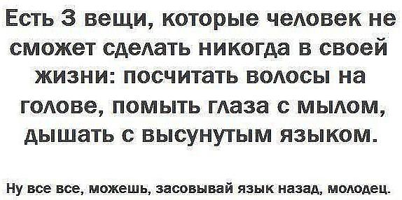 yazik.JPG