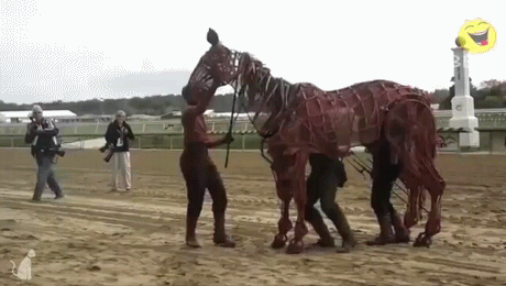 horse.gif