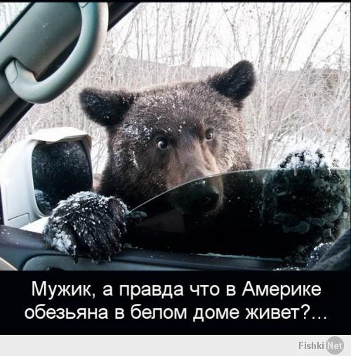 сша.jpg