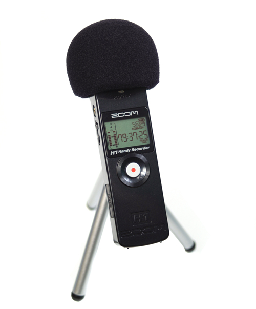 zoom-h1-3.jpg