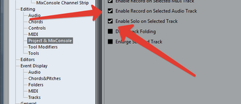 Enable Solo.png