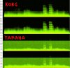 spectrogram.jpg