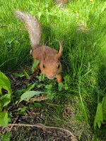 IMG_20250428_081142.jpg