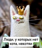nekotyai.jpg