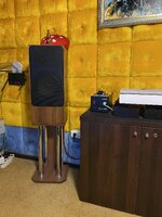 IMG_8982.jpeg
