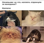 1749483399038.png