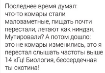 1749827959927.png