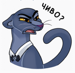 t11.png