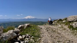 IMG_0502.jpeg