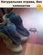 otrava.jpg