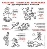 kote_rim.jpg
