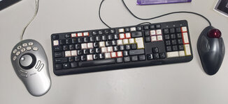 mouse.jpg