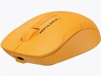 Mouse.jpg