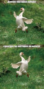 image (1).jpg
