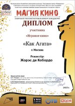 Диплом Магии кино 2025.jpg