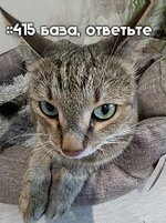images.jpg
