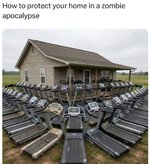 11150.jpg