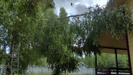 IMG_20260714_160138632_HDR.jpg