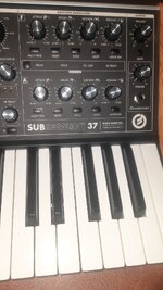 20260716_185656.jpg
