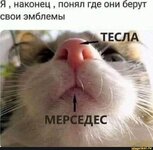 1784548934639.jpeg