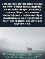 4gv7bjyf.jpg