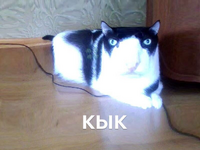 1788292846099.png