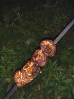 DSC_03272.jpg